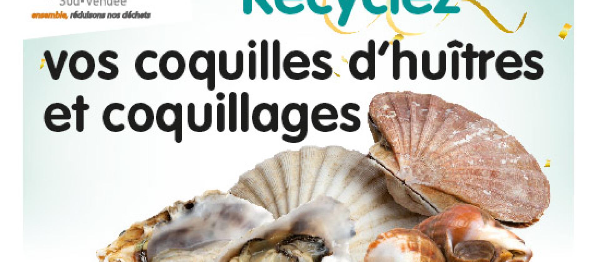 Collecte de coquillages