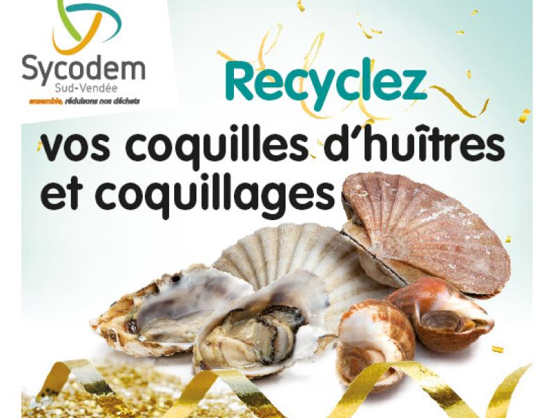 Collecte des coquillages