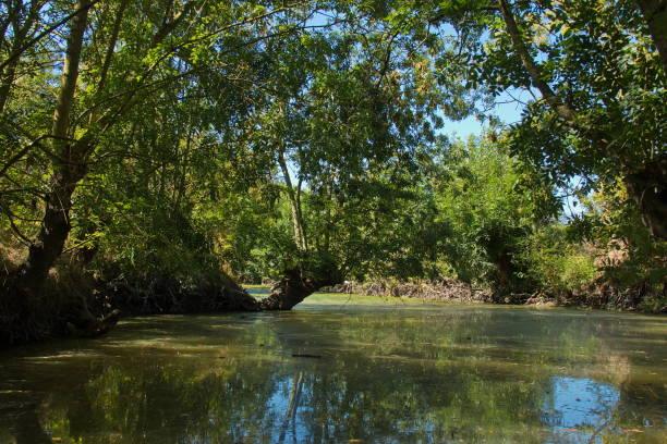 Le Marais Poitevin